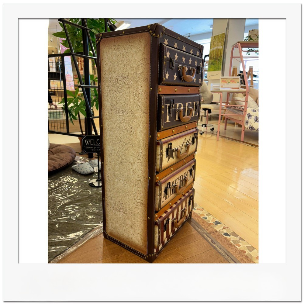 トランクPVCチェスト(アメリカ) 5段【なんごう店展示品】【現品限り